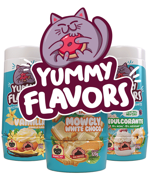 YUMMY FLAVORS
